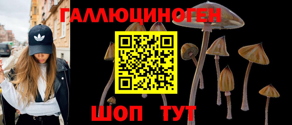 Псилоцибиновые грибы мухоморы  Вход с VPN  Галлюциногенные грибы GOLDEN TEACHER  Балаково 